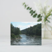 Carte postale de la rivière Youghiogheny (Debout devant)