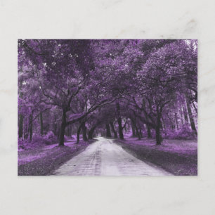 carte postale de la route