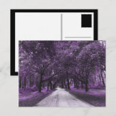 carte postale de la route (Devant / Derrière)