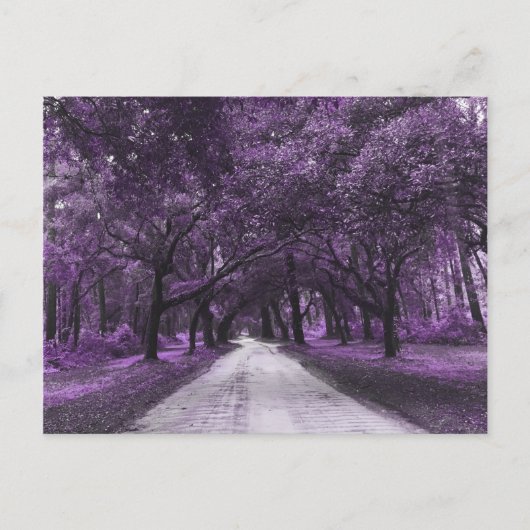 carte postale de la route (Devant)