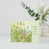Carte postale de la Rudbeckia hirta (Debout devant)