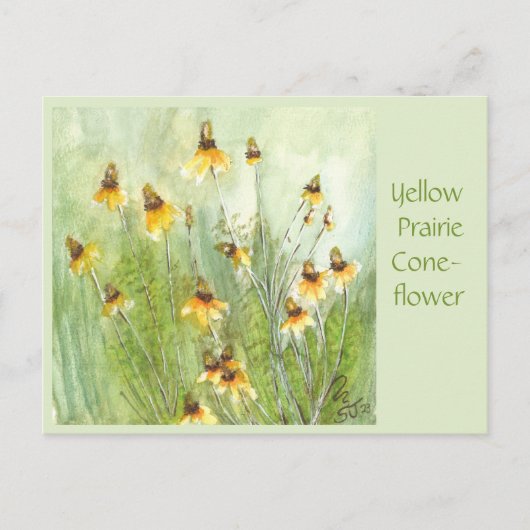 Carte postale de la Rudbeckia hirta (Devant)