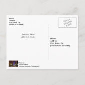 Carte postale de la saison de printemps du Millenn (Dos)