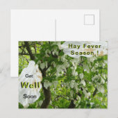 Carte postale de la saison des allergies de l'arbr (Devant / Derrière)