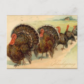 Carte postale de la scène de fête de Thanksgiving (Devant)