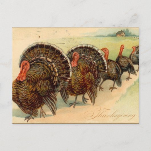 Carte postale de la scène de fête de Thanksgiving  (Devant)