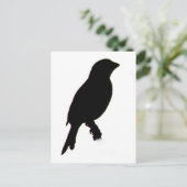 Carte postale de la silhouette House Finch (Debout devant)