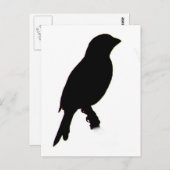 Carte postale de la silhouette House Finch (Devant / Derrière)