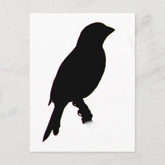 Carte postale de la silhouette House Finch (Devant)