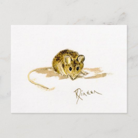 Carte postale de la souris (Devant)