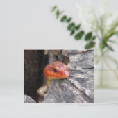 Carte postale de la tête large (Debout devant)