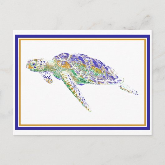 Carte postale de la tortue (Devant)
