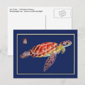 Carte postale de la tortue de mer (Devant / Derrière)