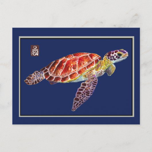 Carte postale de la tortue de mer (Devant)