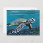 Carte postale de la tortue de mer (Devant / Derrière)