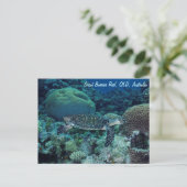 Carte postale de la tortue de mer (Debout devant)