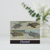 Carte postale de la tortue de mer d'Hawaï (Debout devant)