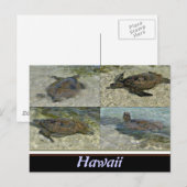 Carte postale de la tortue de mer d'Hawaï (Devant / Derrière)