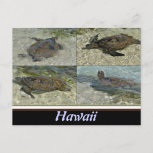 Carte postale de la tortue de mer d'Hawaï