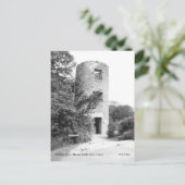 Carte postale de la tour du château de Blarney (Debout devant)