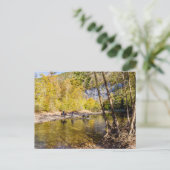 Carte postale de la traversée de la rivière Buffal (Debout devant)