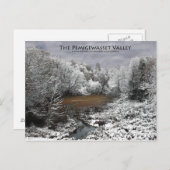 Carte postale de la Vallée de Pemigewasset : Moose (Devant / Derrière)