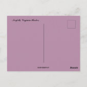 Carte postale de la vue nocturne du port de Norfol (Dos)