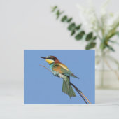 Carte postale de l'abeille (Debout devant)