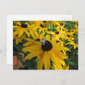 Carte postale de l'abeille du travailleur (Devant / Derrière)