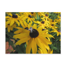 Carte postale de l'abeille du travailleur