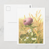Carte postale de l'abeille et du chardon (Devant / Derrière)