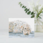 Carte postale de Labradoodle endormi (Debout devant)