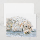 Carte postale de Labradoodle endormi (Devant / Derrière)