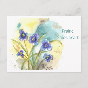 Carte postale de l'Achillée de prairie