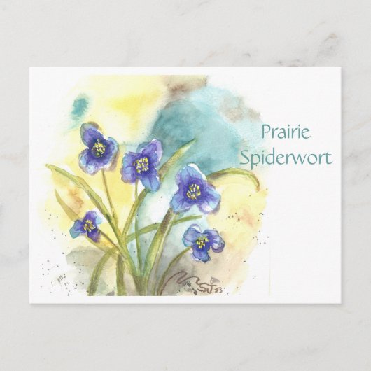 Carte postale de l'Achillée de prairie (Devant)