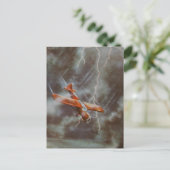 Carte postale de l'aéronef vintage (Debout devant)