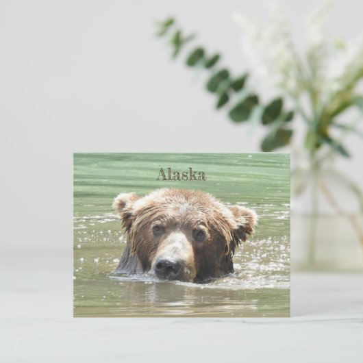 Carte postale de l'Alaska (Debout devant)