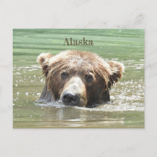 Carte postale de l'Alaska