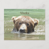 Carte postale de l'Alaska (Devant)