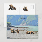 Carte postale de l'Alaska avec des oursons grizzli (Devant / Derrière)