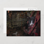 carte postale de l'allée 007 (Devant / Derrière)