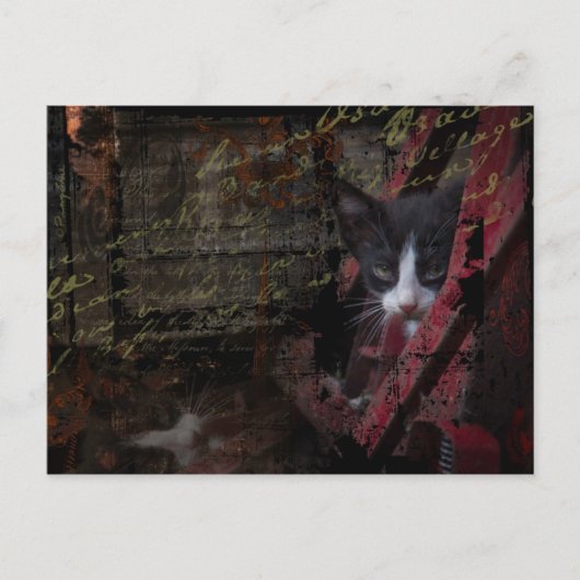 carte postale de l'allée 007 (Devant)