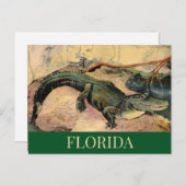 Carte postale de l'alligator de Floride (Devant / Derrière)