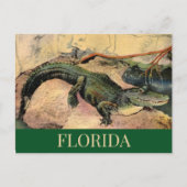 Carte postale de l'alligator de Floride (Devant)