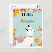 Carte postale de lama mignon (Devant / Derrière)