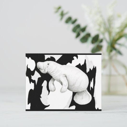 Carte postale de lamantin (Debout devant)