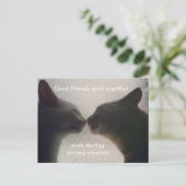 Carte postale de l'ami de chat mignonne (Debout devant)
