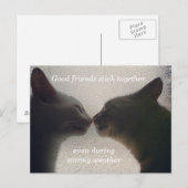 Carte postale de l'ami de chat mignonne (Devant / Derrière)