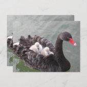 Carte postale de l'amour des mères (Devant / Derrière)