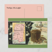 Carte postale de l'ancien Mississippi (Devant / Derrière)